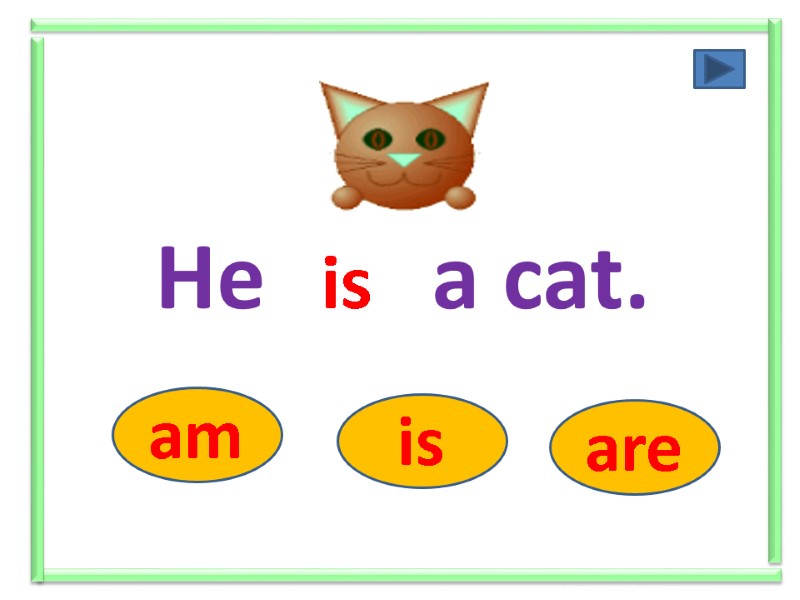 He ….. a cat. am is are is